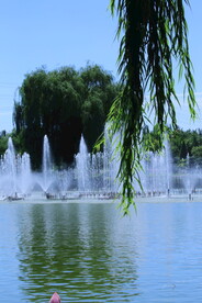 公园风景