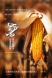 简约二十四节气处暑秋收宣传