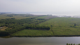 东平湖湿地
