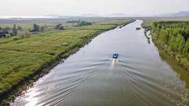 东平湖湿地