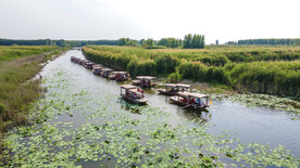 东平湖湿地