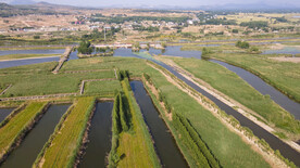 东平湖湿地