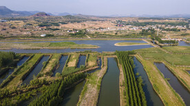 东平湖湿地