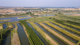 东平湖湿地