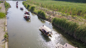 东平湖湿地
