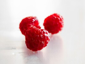 桑葚