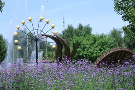 公园风景