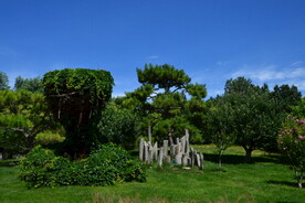 公园风景 