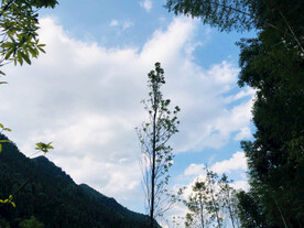 名宿风景