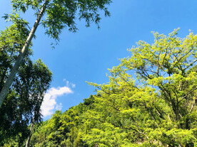 绿水青山蓝天白云