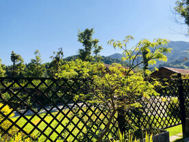 名宿风景