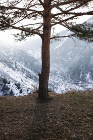 雪景