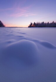 雪景