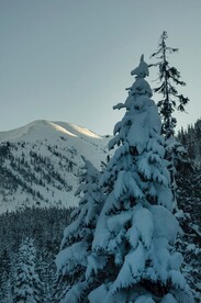 雪景