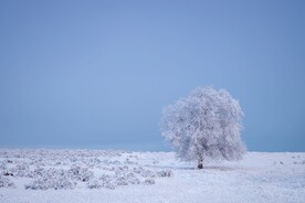 雪山