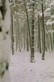 雪地