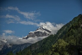 山