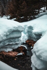 雪