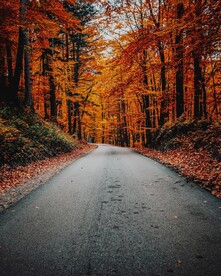 秋季安静得公路
