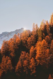 秋季山林摄影