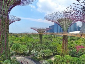 新加坡 城市 滨海 建筑 