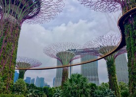 新加坡 城市 滨海 建筑 
