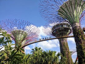 新加坡 城市 滨水城市 建筑 