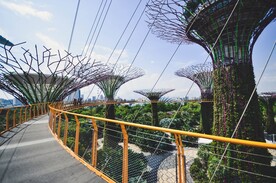 新加坡 城市 滨水城市 建筑 