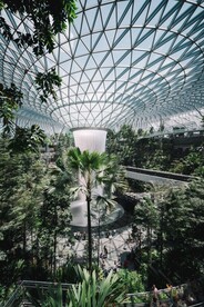 新加坡 城市 滨水城市 建筑 