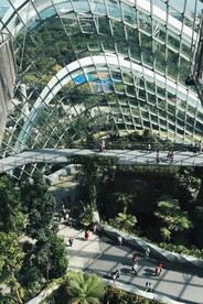 新加坡 城市 滨水城市 建筑 