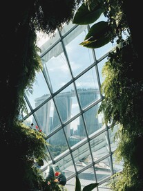 新加坡 城市 滨水城市 建筑 