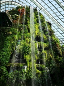新加坡 城市 滨海 建筑 