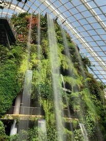 新加坡 城市 滨海 建筑 