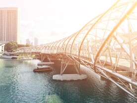 新加坡 城市 桥