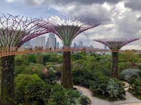 新加坡 城市 滨海 建筑 