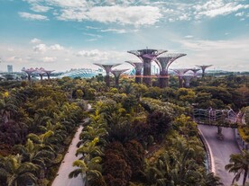 新加坡