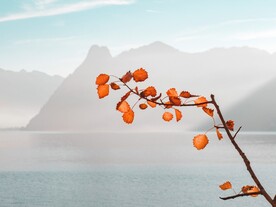 秋叶树枝山水创意摄影