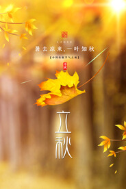 立秋海报 