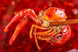 麻辣小龙虾美食