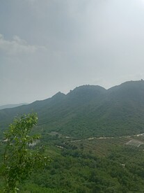 风景