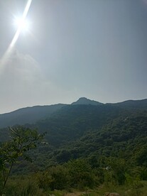 下午太阳