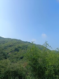半山头
