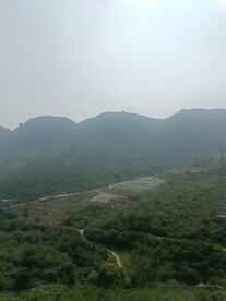 山