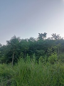下午天空