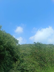 白云蓝天