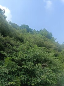 半空山