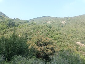 高山