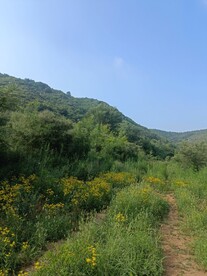 山林路