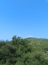 山林天空