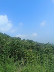 半边天